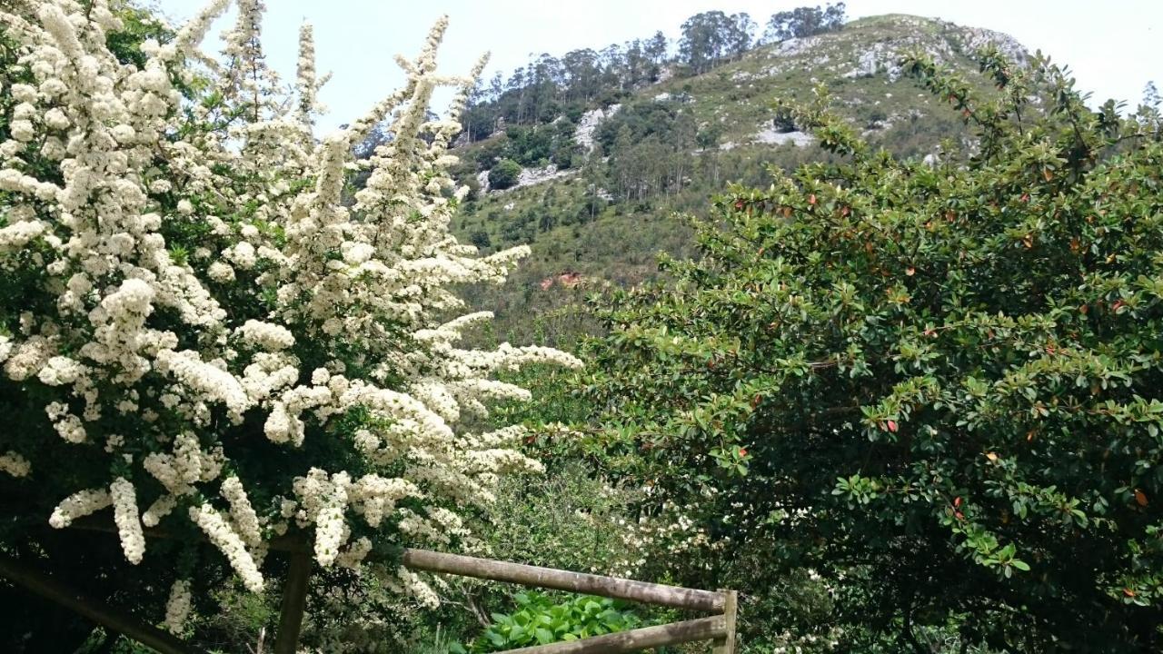 Los Acebos De Pena Cabarga Sobremazas Extérieur photo